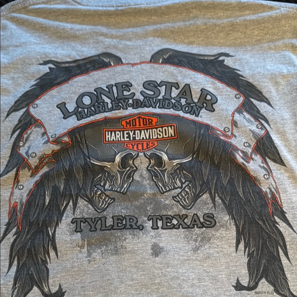 Harley-Davidson Gray Lone Star Skull Tee